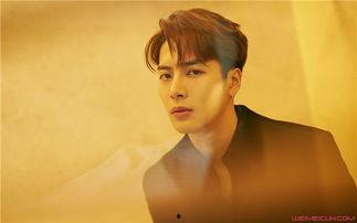 王嘉尔圈外女友爆料视频,揭秘明星背后的情感世界